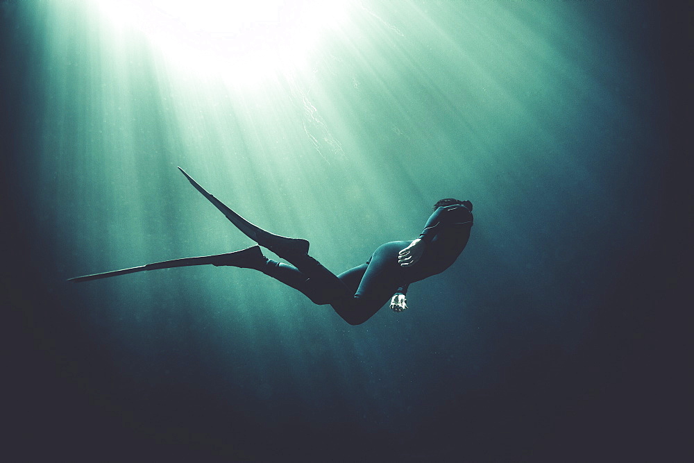 Underwater view of diver wearing wet suit and flippers, sunlight filtering through from above, United States of America