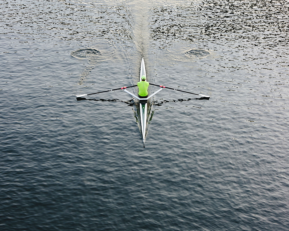 A single scull boat and rower on the water, view from above, Washington, United States