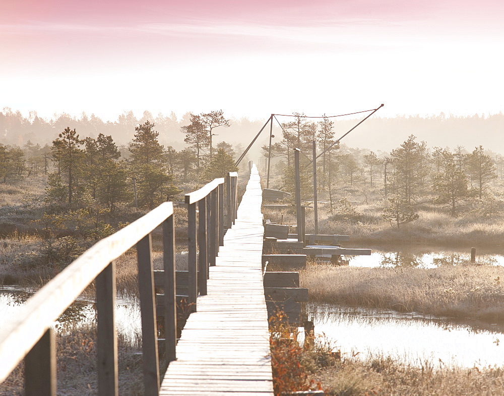 Wooden Boardwalk over Marsh, Estonia