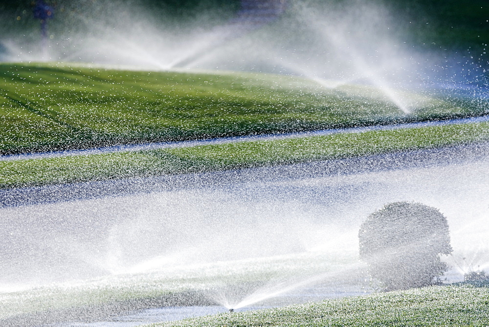 Sprinklers on Lawn, McKinney, Texas, United States