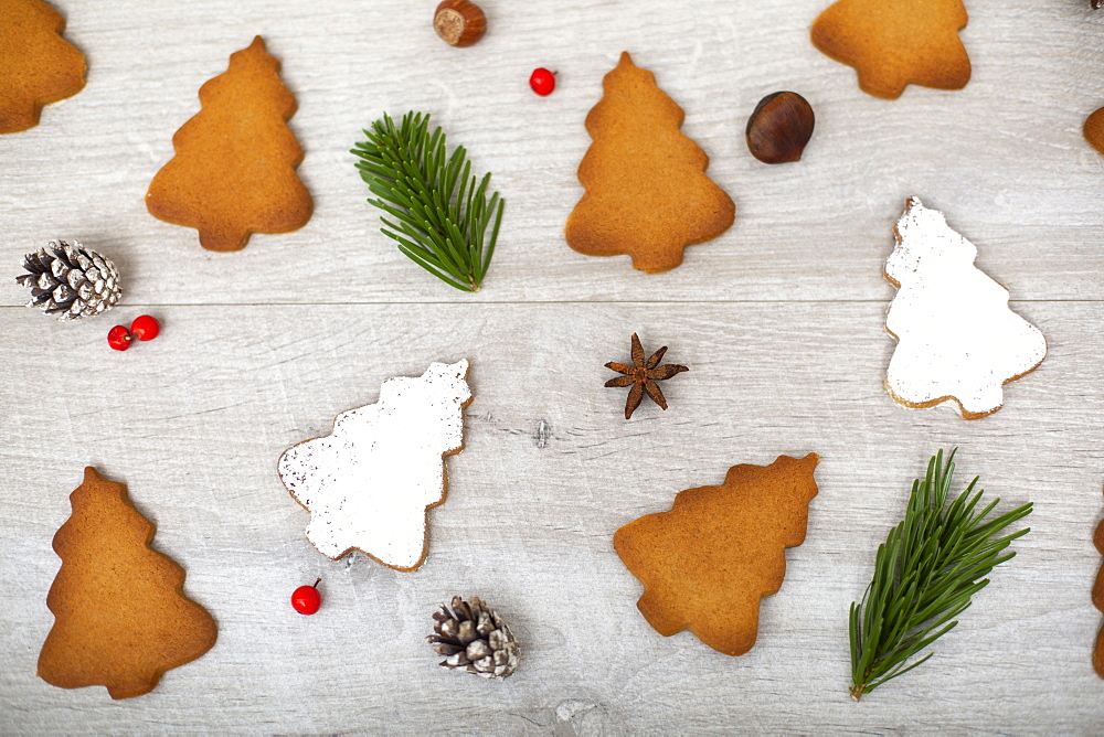 High angle close up of Christmas decorations and Christmas Tree cookies