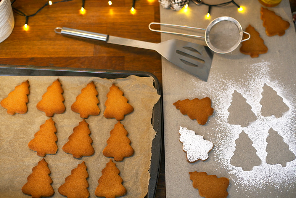 High angle close up of Christmas Tree cookies on a baking tray