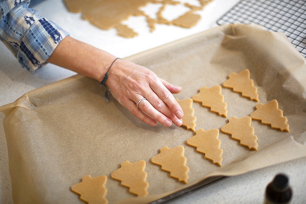 High angle close up of woman placing Christmas Tree cookies on a baking tray