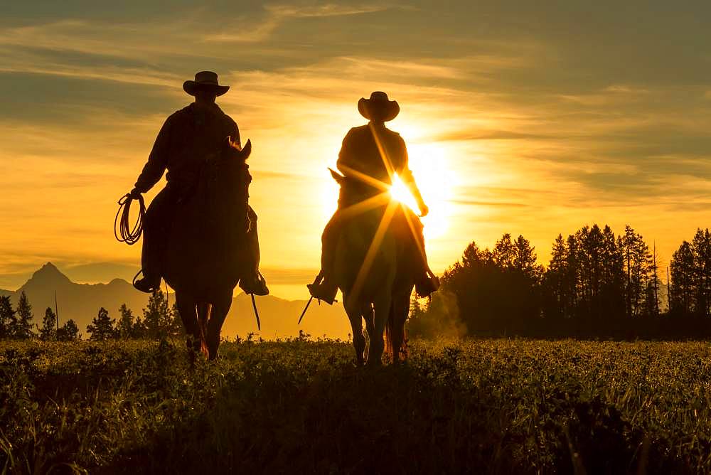 Two cowboys riding into the sunset across grassland with mountains behind, British Colombia, Canada