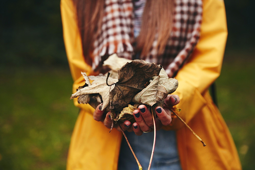 Hands holding dried leaves to camera