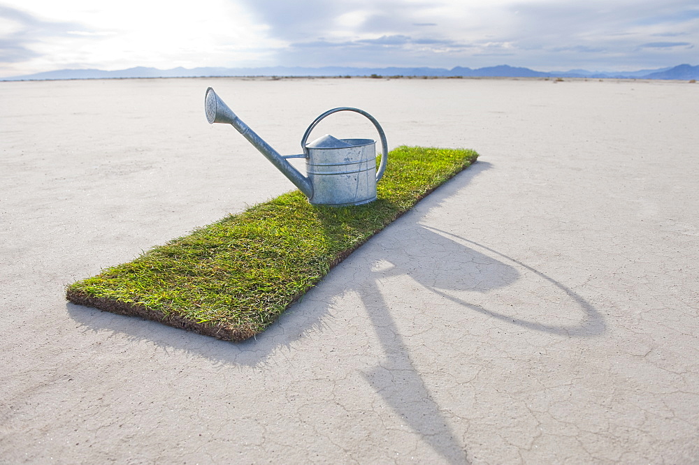 Watering can on turf patch on salt flat