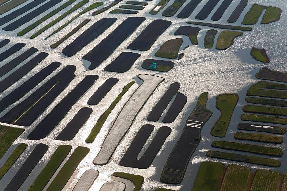 Polder or re-claimed lands, North Holland, Netherlands