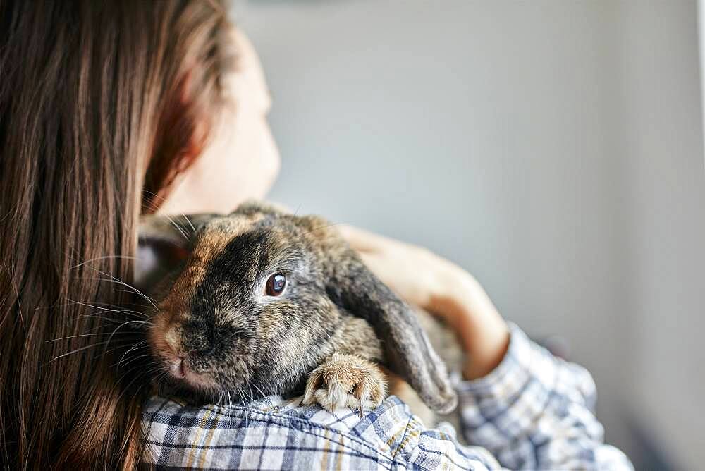 Portrait of pet house rabbit on shoulder of woman, Bristol, United Kingdom