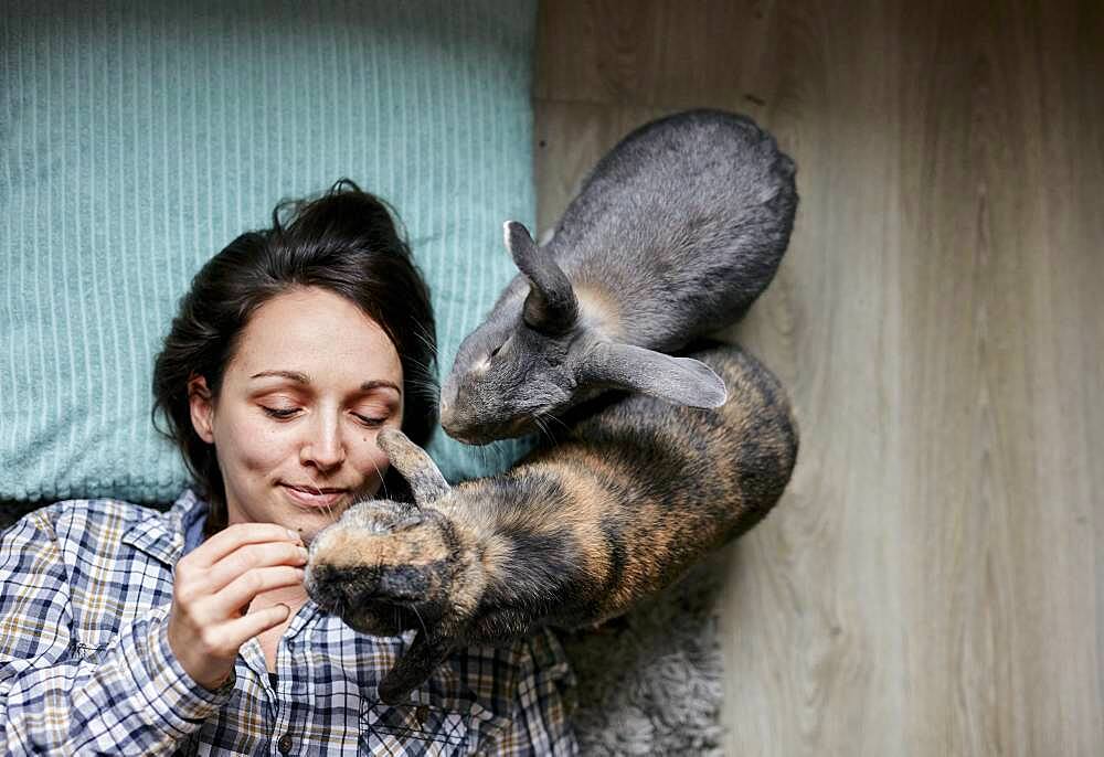 Woman lying on floor surrounded by two pet house rabbits shot from above, Bristol, United Kingdom