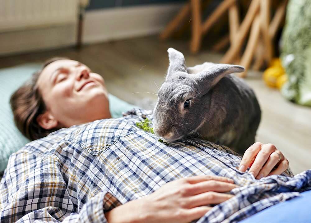 Pet house rabbit eating food on top of woman lying on floor, Bristol, United Kingdom