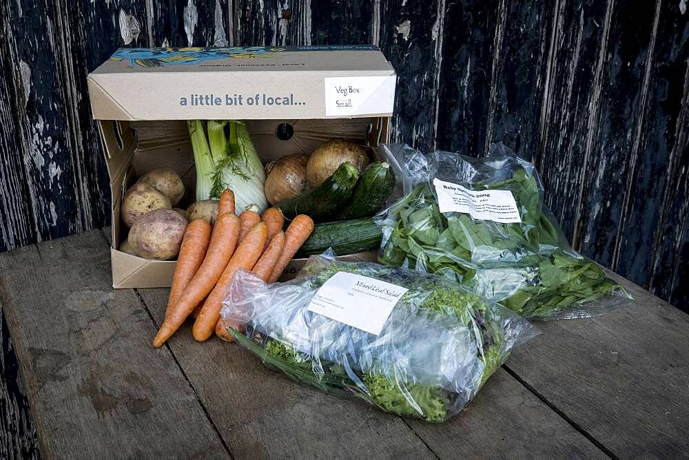 Close up of an organic vegetable box with a selection of fresh produce, Oxfordshire, United Kingdom