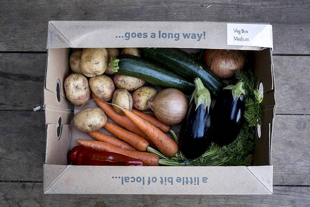 High angle close up of an organic vegetable box with a selection of fresh produce, Oxfordshire, United Kingdom