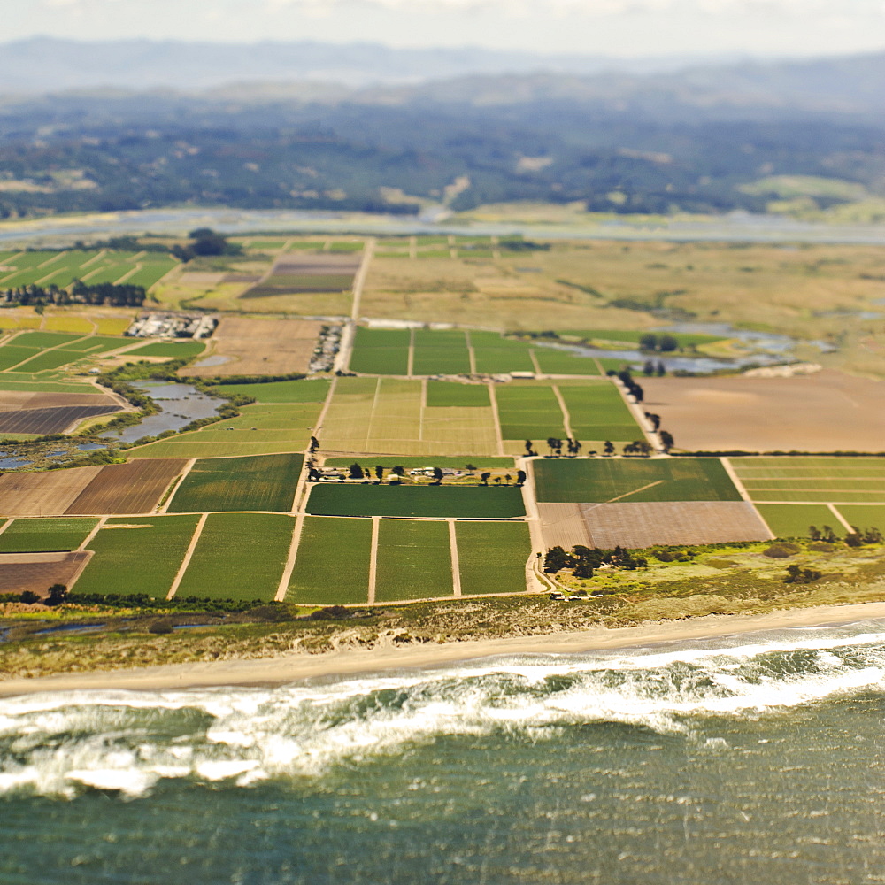 Coastal Farmland, San Mateo, California, United States of America