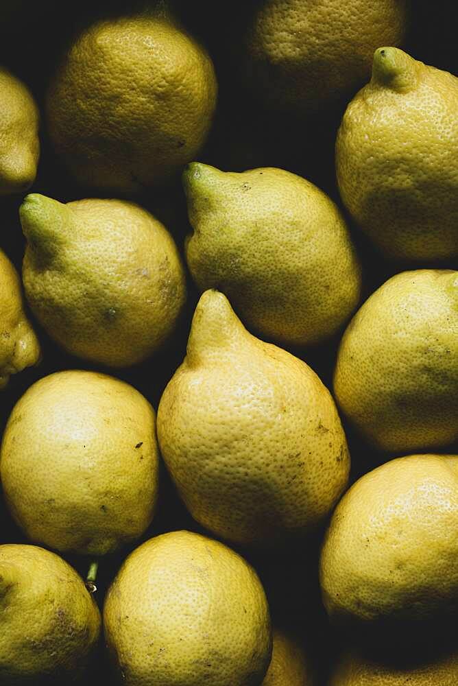 High angle close up of lemons packed in a box