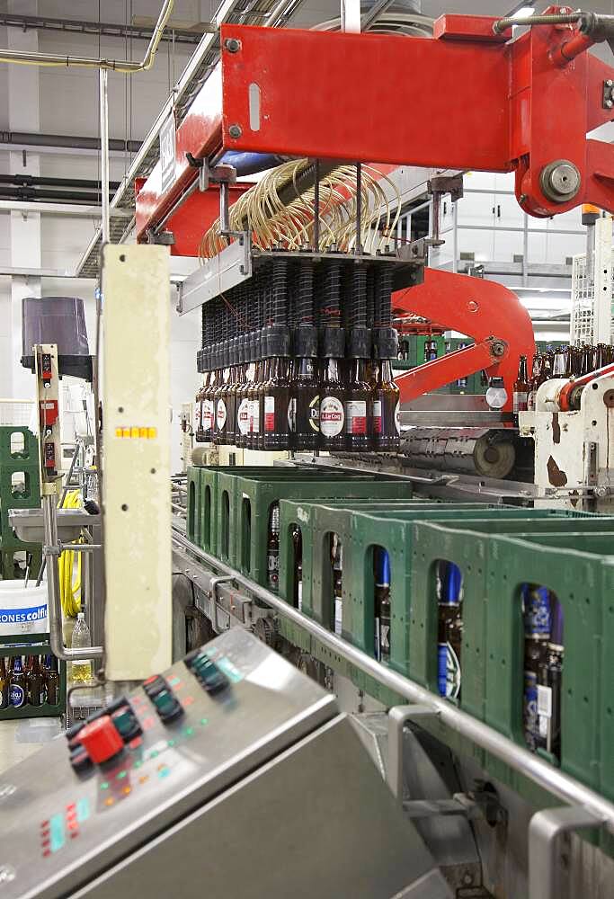 Bottling plant for beer, automated process