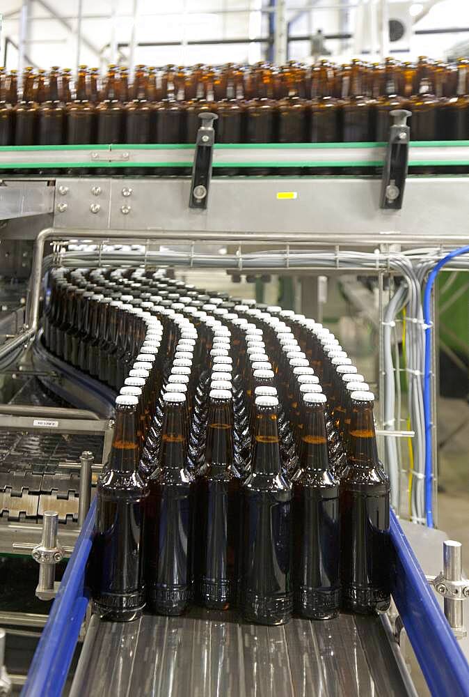 Automated and mechanised beer bottling plant