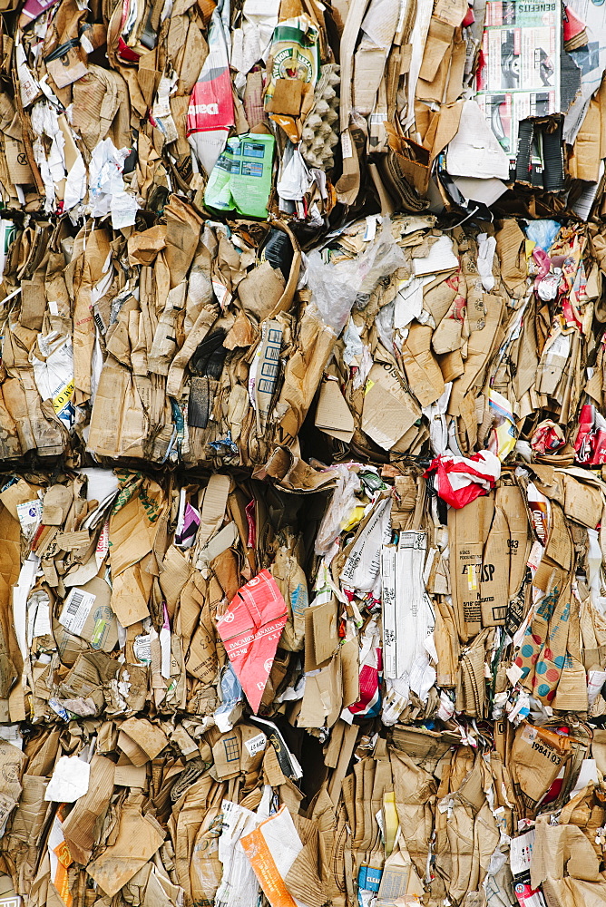 Recycling facility with bundles of cardboard sorted and tied up for recycling, Washington state, USA