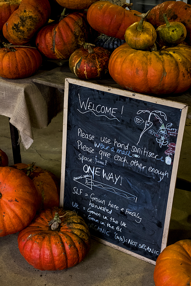 Pumpkins and blackboard with welcome note in a farm shop.