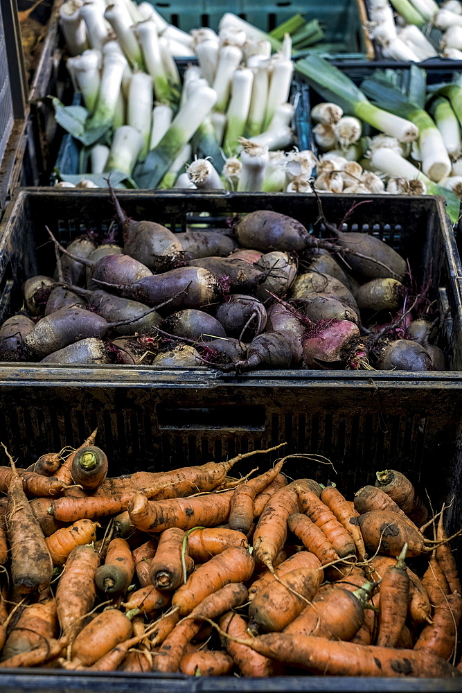 High angle close up of crates with freshly picked carrots, beetroots and leeks.