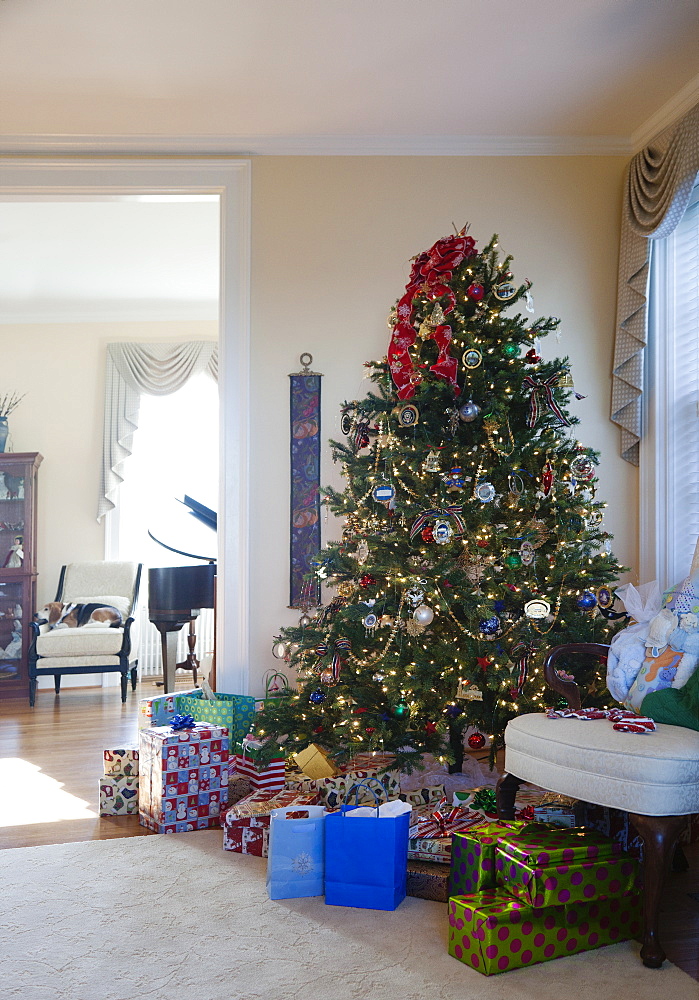 Living room with Christmas tree and gifts, traditional decorations in an American home