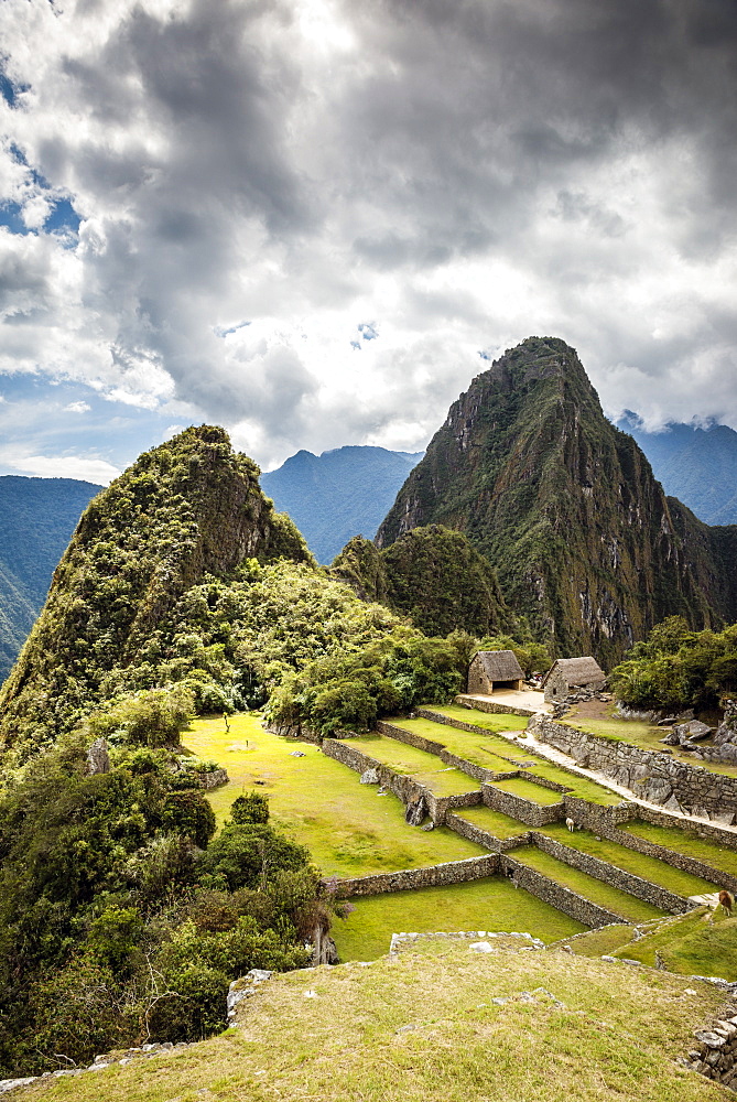 Machu Picchu, the Inca citadel high in the Andes, above the Sacred Valley, plateau with buildings and terraces, Machu Picchu, Peru