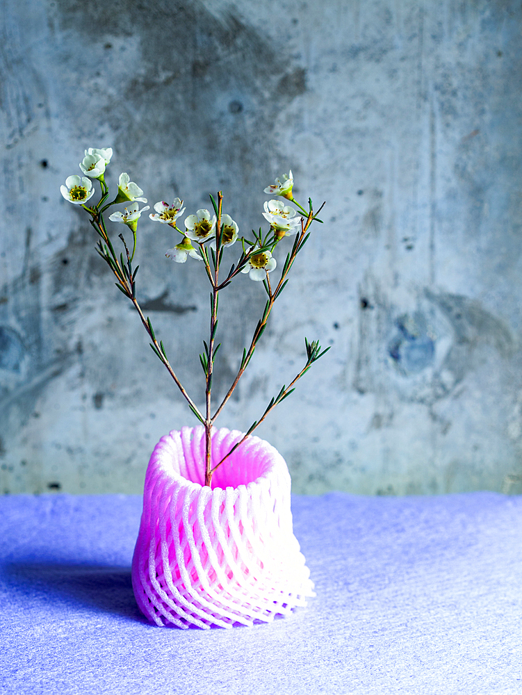 Studio shot, a stem of small white flowers in a pink recycled plastic mesh vase.