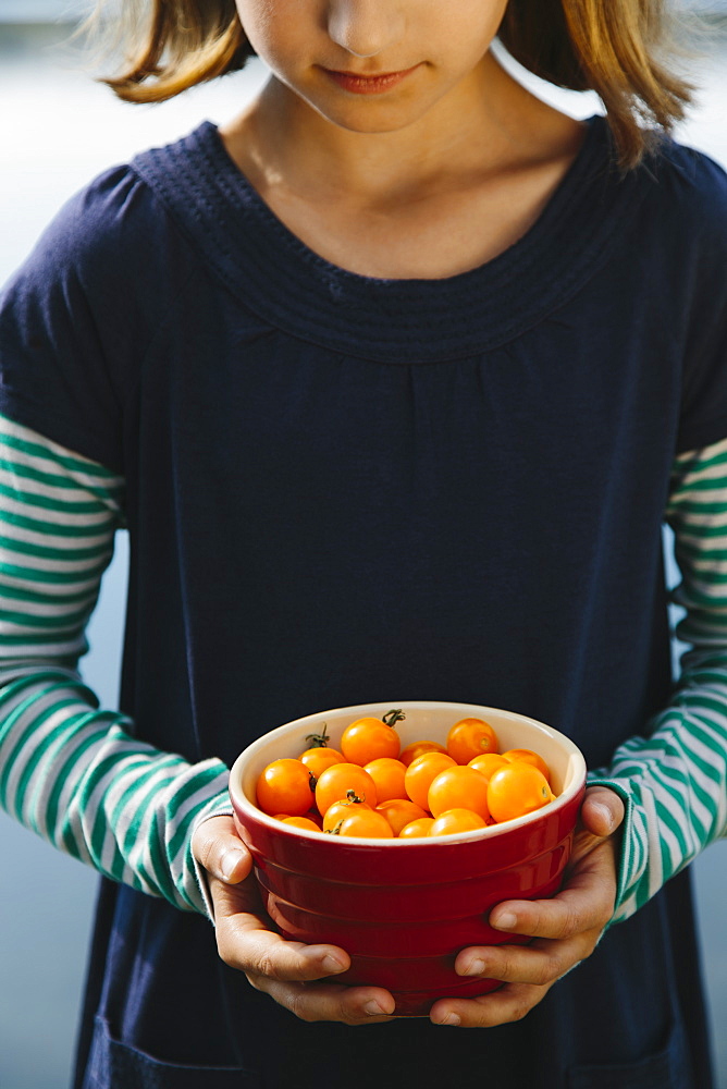 Nine year old girl holding bowl of organic yellow cherry tomatoes, Seattle, Washington, USA