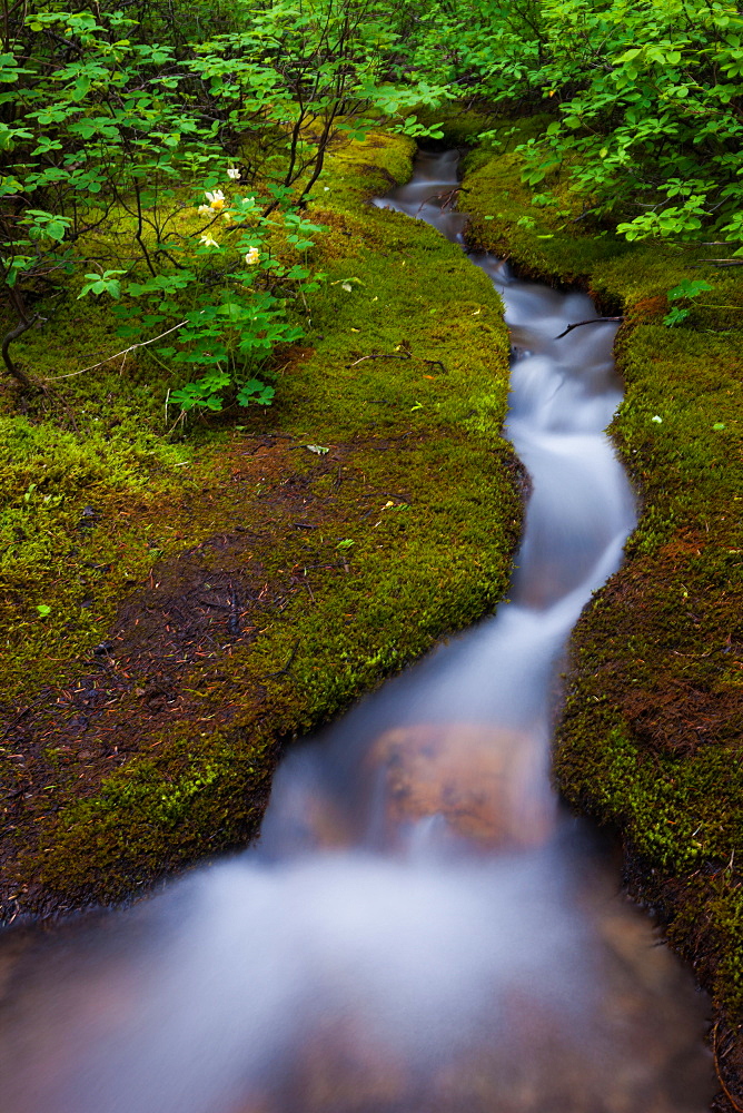 Alpine Stream, a time lapse effect, Jasper National Park, Alberta, Canada, Jasper National Park, Alberta, Canada