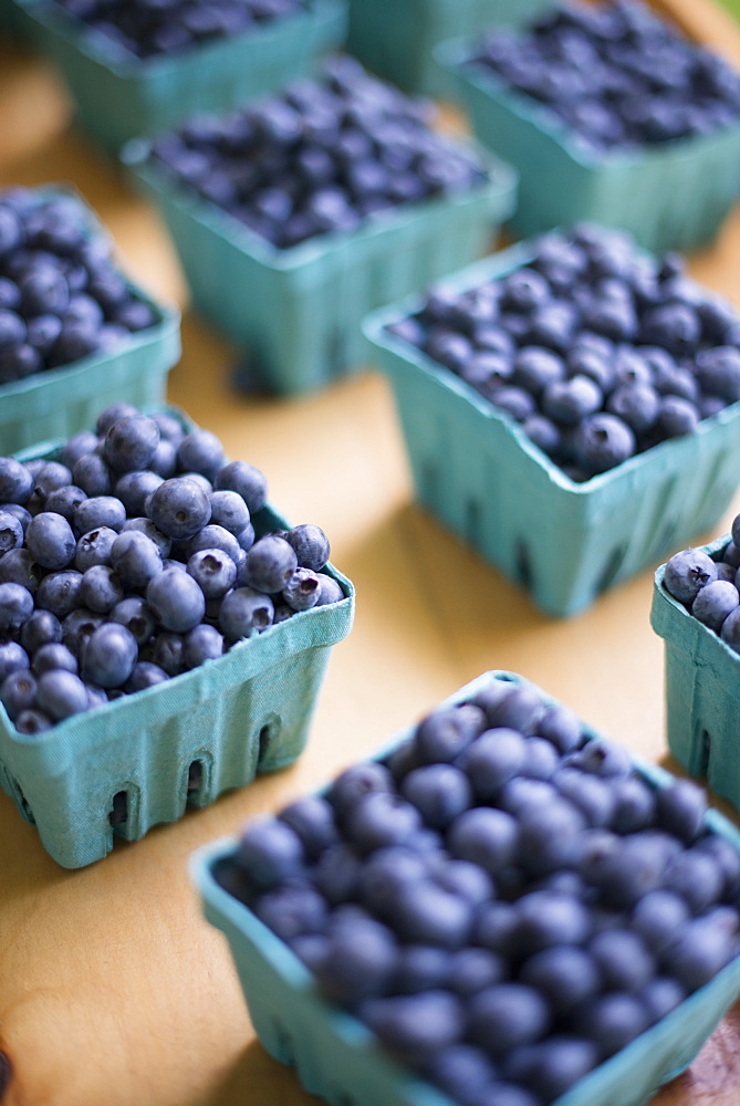 Organic fruit displayed on a farm stand. Blueberries in punnets, Rhinebeck, New York, USA