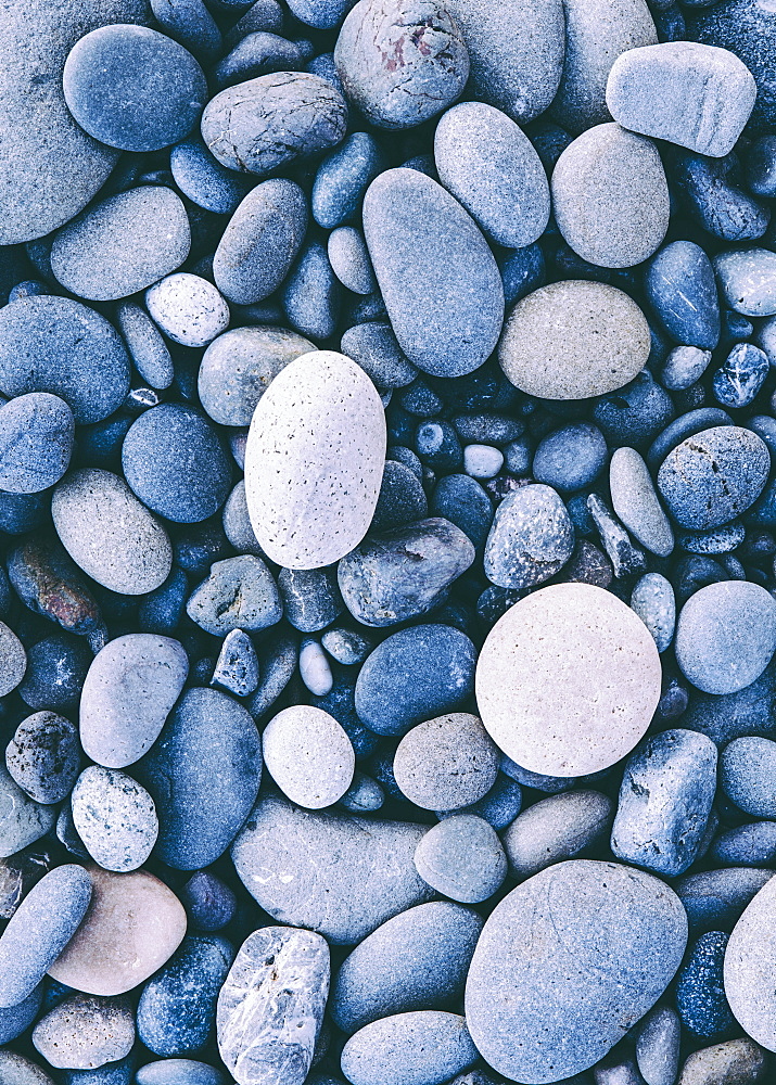 Polished smooth stones and pebbles on the sea shore, in Olympic national park. Varied shapes and sizes, Olympic national forest, Washington, USA