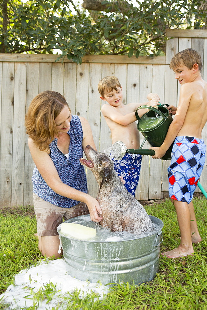 A family in their garden, washing a dog in a tubAustin, Texas, USA