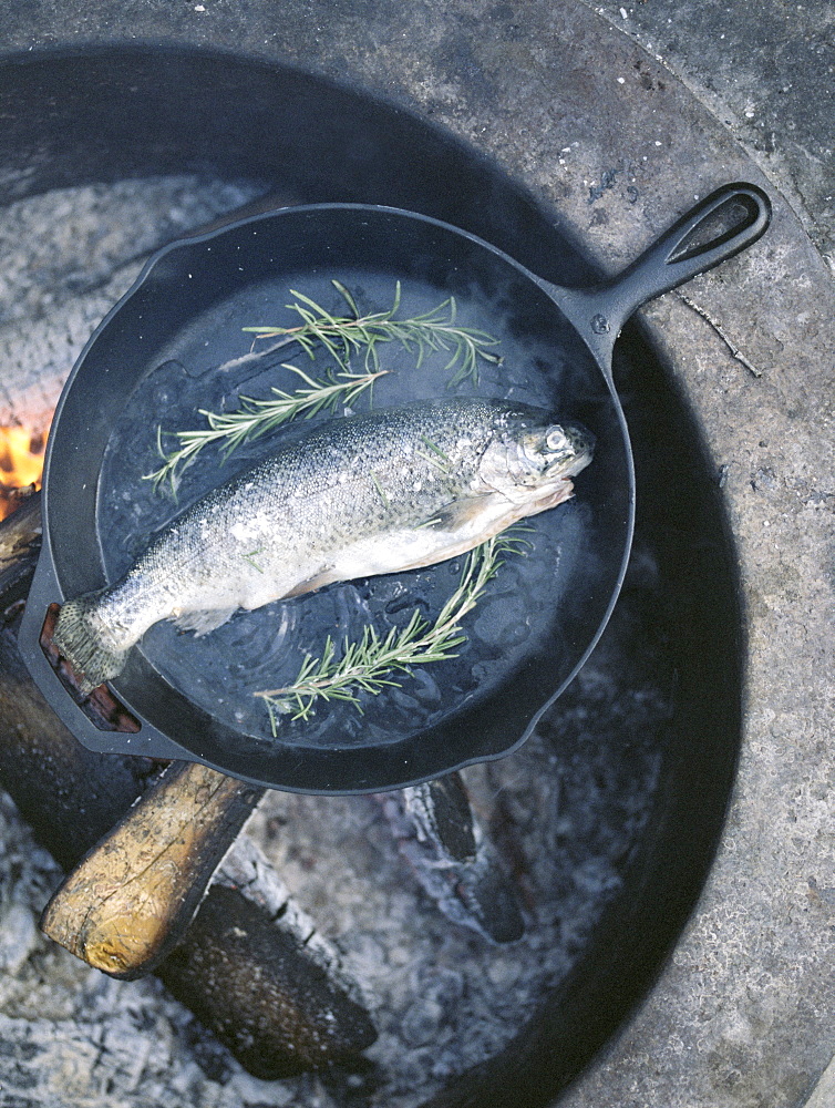 Fish in a frying pan over an outdoor fire, Millcreek, Utah, United States of America