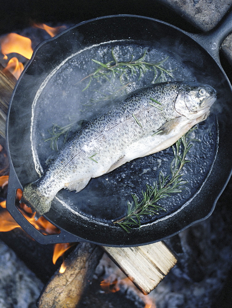 Fish in a frying pan over an outdoor fire, Millcreek, Utah, United States of America