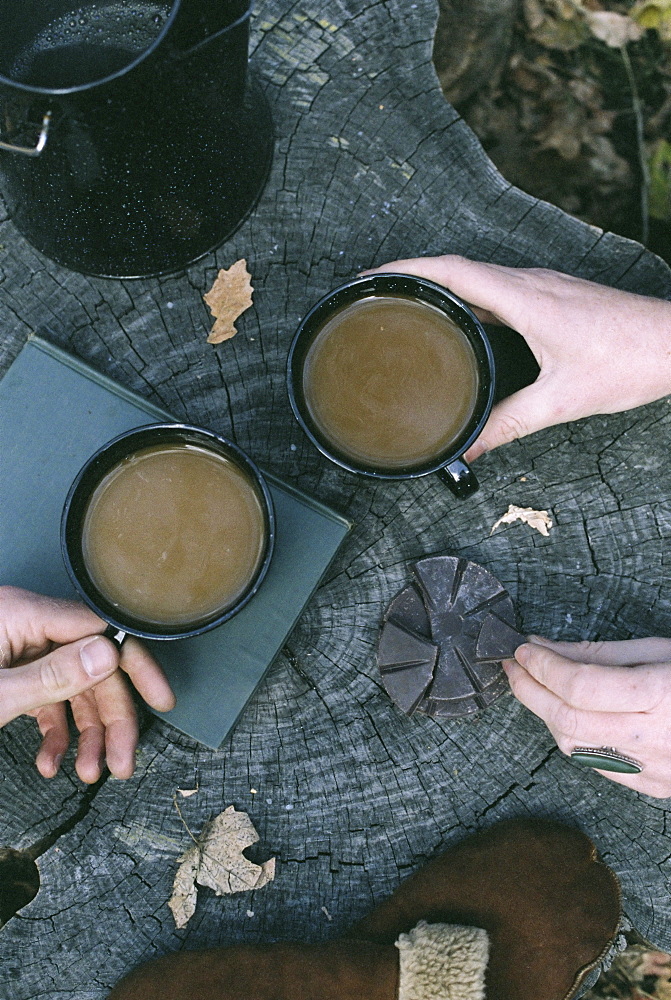 Couple having coffee in a forest, two mugs of coffee, a coffee pot and a pair of gloves on a tree trunk, Millcreek, Utah, United States of America