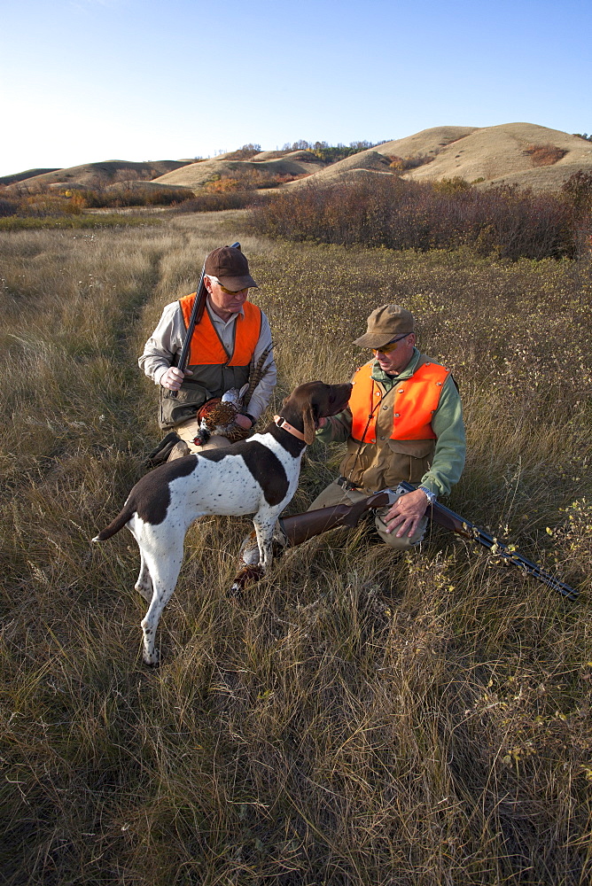 Two men, bird hunters, with shotguns, carrying the day's bag of dead birds, and a spaniel dog, Saskatchewan, Canada