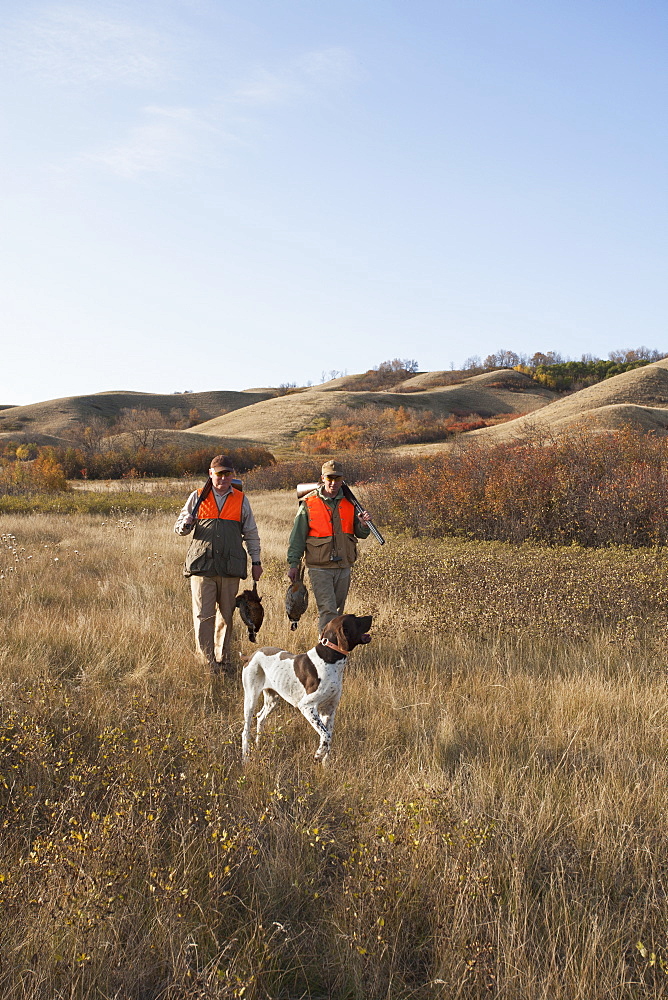 Two men, bird hunters, with shotguns, carrying the day's bag of dead birds, and a spaniel dog, Saskatchewan, Canada