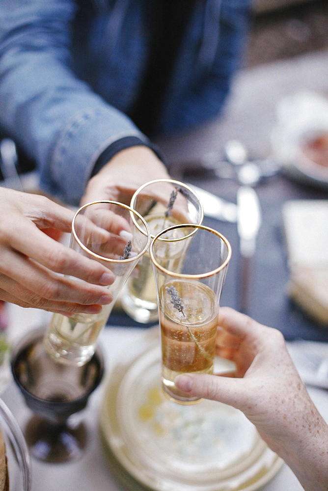 Three people making a toast, clinking glasses, United States of America