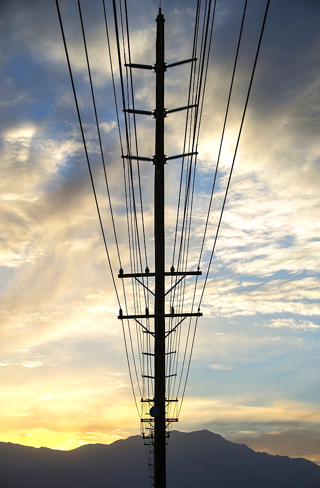 A line of telegraph poles stretching into the distance, California, United States of America