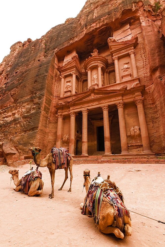 Exterior view of the rock-cut architecture of Al Khazneh or The Treasury at Petra, Jordan, camels in the foreground, Petra, Jordan