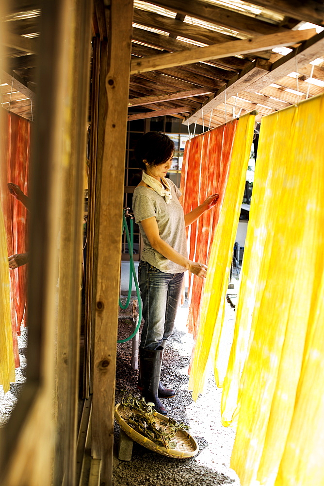 Japanese woman standing outside a textile plant dye workshop, hanging up freshly dyed bright yellow and orange fabric, Kyushu, Japan