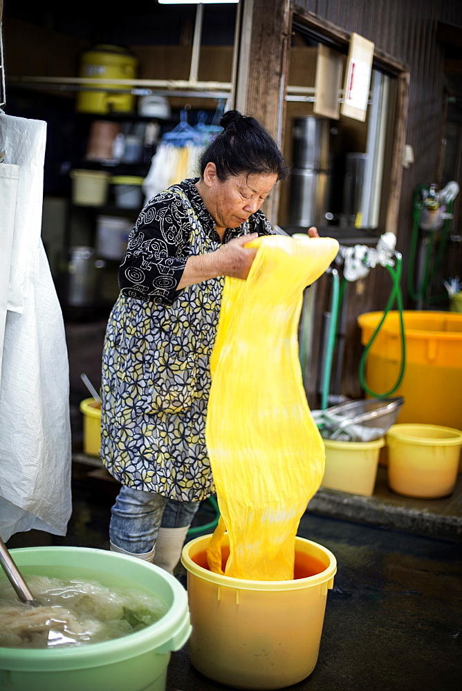 Japanese woman standing in a textile plant dye workshop, holding piece of bright yellow fabric, Kyushu, Japan