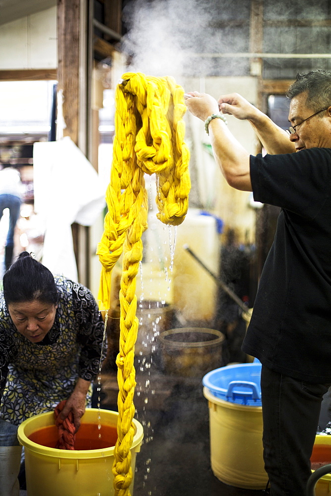 Japanese man standing in a textile plant dye workshop, holding aloft piece of freshly dyed bright yellow fabric, Kyushu, Japan