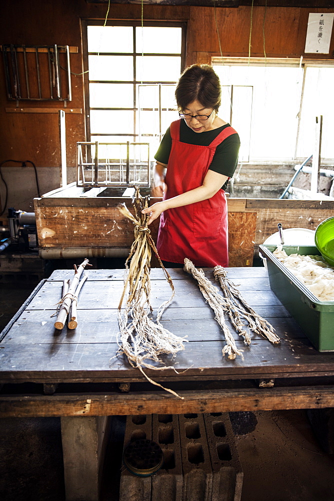 Woman standing at a table in a traditional Washi workshop, stripping bark and fibre off twigs and branches of plant material , Kyushu, Japan