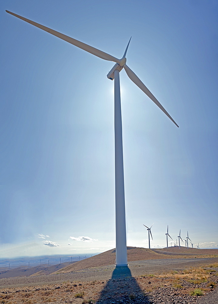 Wind Turbines, Ellensburg, Washington, United States of America