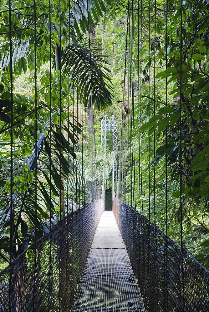 Footbridge in Costa Rican Forest, Arenal, Costa Rica