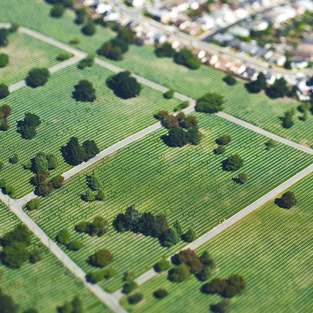 Aerial View of City Park, Colma, California, United States of America