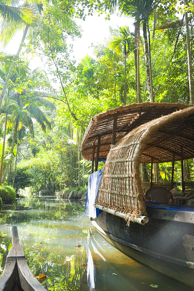 Boat in the Jungle, Cochin, Kerala, India