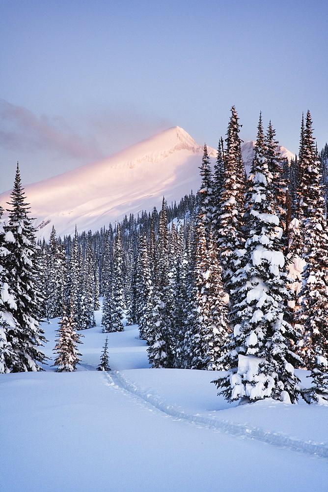 Snowy Landscape, British Columbia, Canada