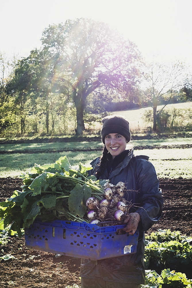 Smiling woman standing in field, holding blue crate with freshly harvested turnips, looking at camera, Oxfordshire, England