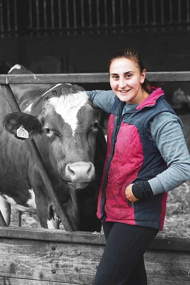 Young woman standing next to Guernsey cow on a farm, Oxfordshire, England